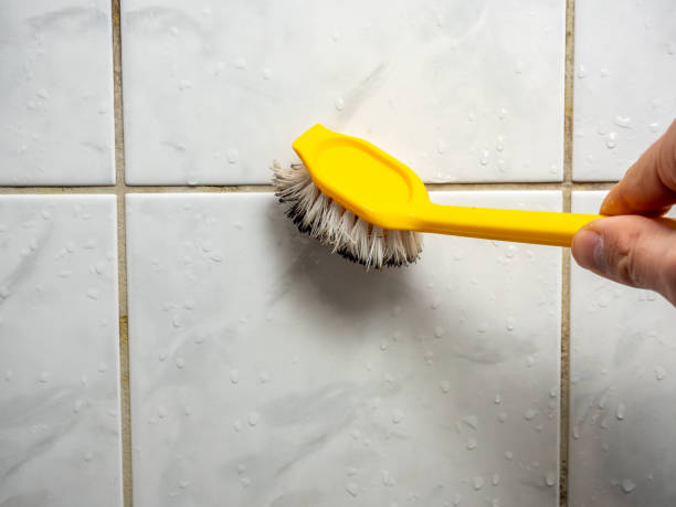 Best Mold Removal Near Me  in La Verkin, UT