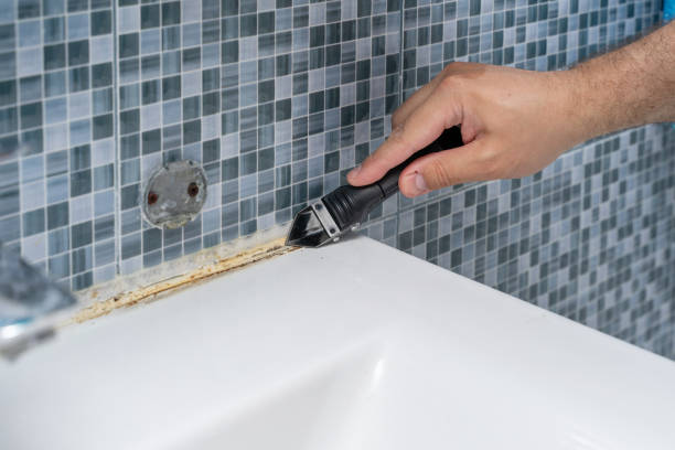 Mold Removal and Inspection in La Verkin, UT