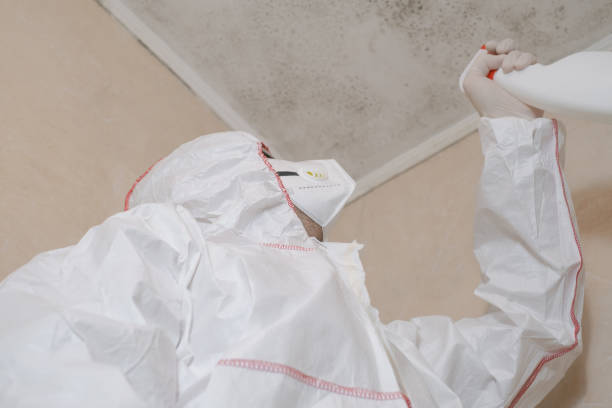 Home Mold Removal in La Verkin, UT