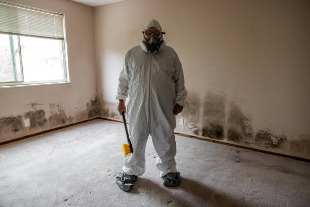 Best Mold Removal Process  in La Verkin, UT